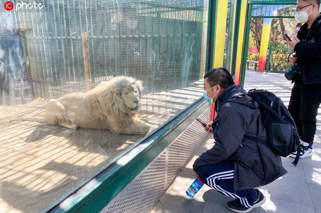 郑州动物园恢复开园 首日迎来不少游客