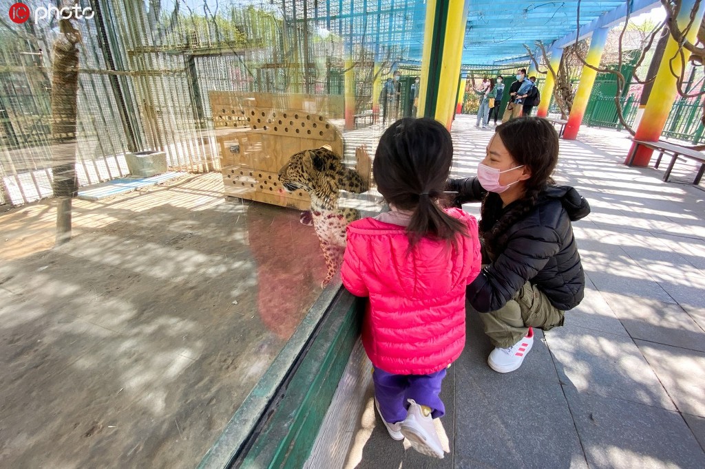 郑州动物园恢复开园 首日迎来不少游客【2】