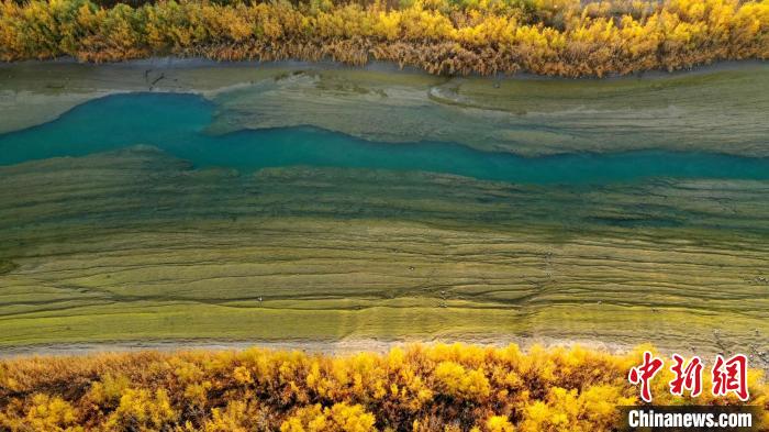 金秋时节的新疆博湖县开都河畔秋意盎然。　年磊 摄