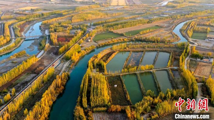 新疆开都河的美景吸引了不少居民和游客前来休闲赏秋，感受暖阳下的湖畔秋日美景。　年磊 摄