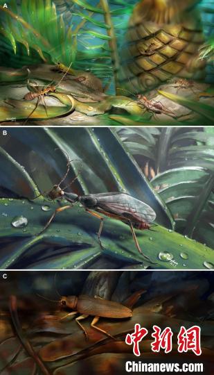 古生物学家在缅甸琥珀中发现最古老的蚂蚁模仿者